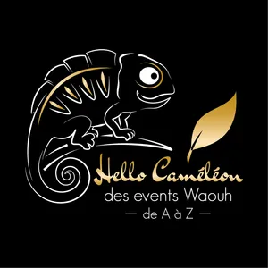 Hello Cameleon Logo